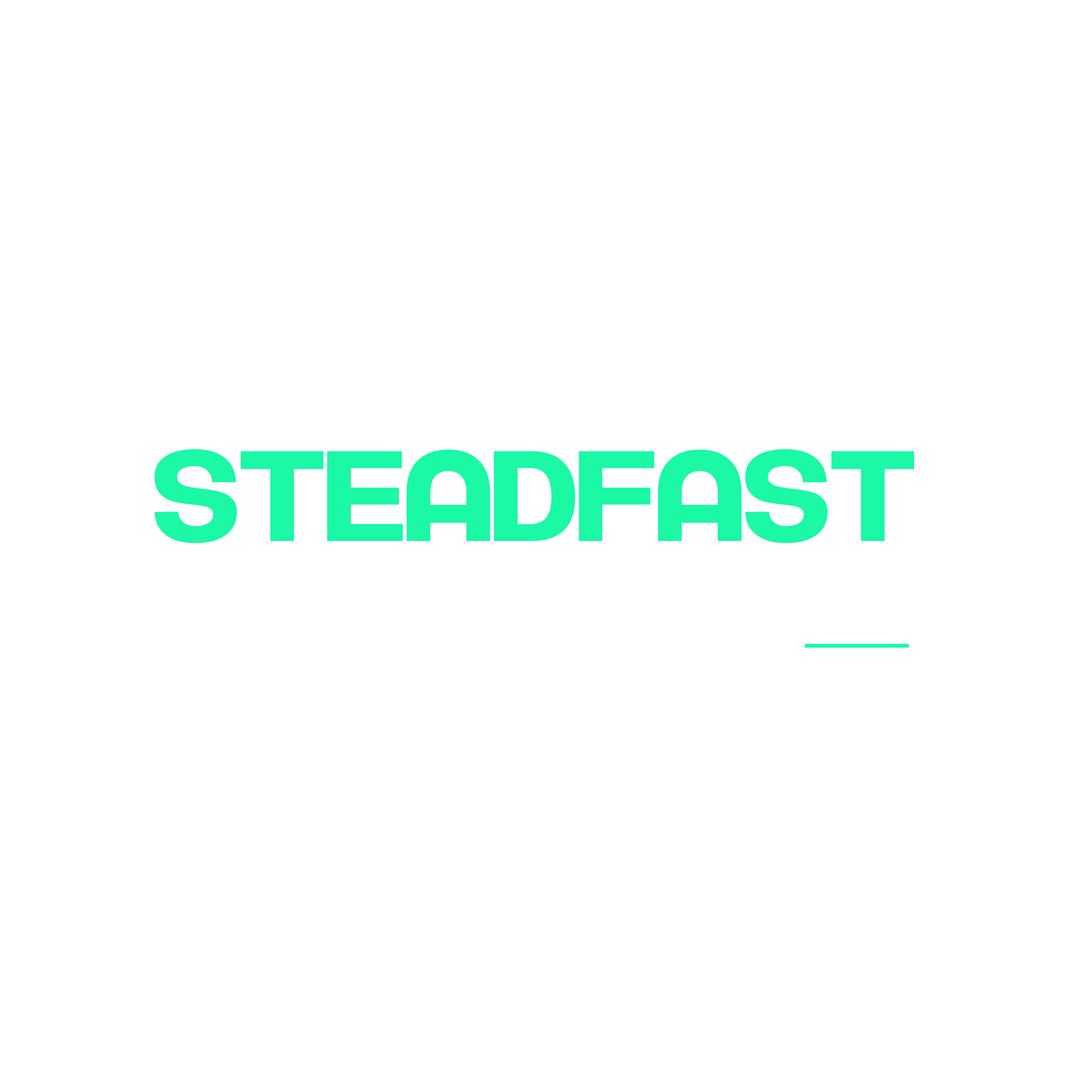 Steadfast 360